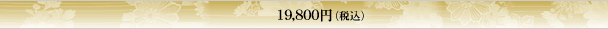 19,800円（税込）