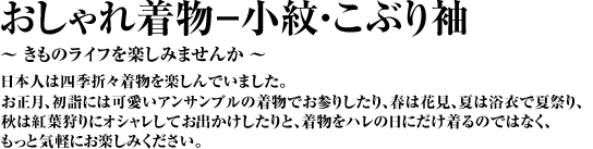 お洒落着物-小紋・こぶり袖