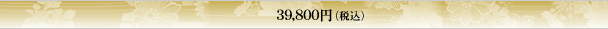 39,800円（税込）
